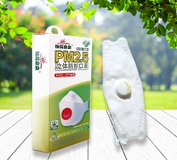 PM2.5立體防護(hù)口罩（頭帶式.呼吸閥